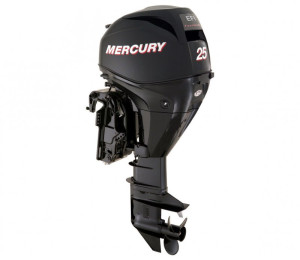 Mercury popa HP 25